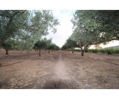 Casa de campo en Venta en Fondó de les Neus, el/Hondón de las Nieves, Alicante
