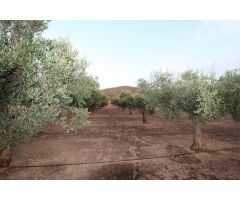 Casa de campo en Venta en Fondó de les Neus, el/Hondón de las Nieves, Alicante