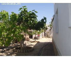 Chalet en Venta en San Fulgencio, Alicante