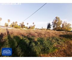 PARCELA DE TIERRA DE 1.420 METROS RÚSTICA COLONIA DE CAULINA