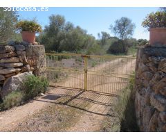 Finca rústica con edificaciones en venta Vallgornera Llucmajor