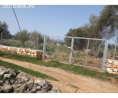 Finca rústica edificable entre Sineu y LLubí