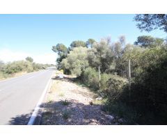 ZONA CALA PI: FINCA RUSTICA EDIFICABLE DE 100.158M2