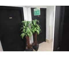 SE VENDE LOCAL - SEMISOTANO DE 219 m2 EN EL ARENAL-LLUCMAJOR