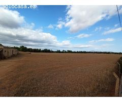 Gran finca rústica a 3 km de Porreres