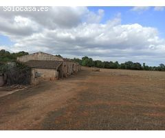 Gran finca rústica a 3 km de Porreres