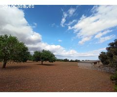 Gran finca rústica a 3 km de Porreres
