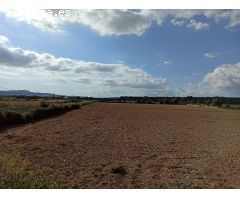 Finca rústica a 3 km de Porreres