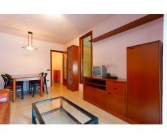 Calle del Llorer, 51 Hospitalet de Llobregat, l , (Barcelona)