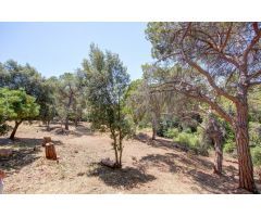 TERRENO URBANO EN CABRILS - ZONA SANT CRIST VELL