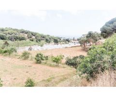 Venta de dos fincas rústicas en Mataró, cerca de la autopista
