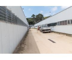 Venta de dos fincas rústicas en Mataró, cerca de la autopista