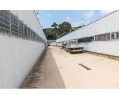 Venta de dos fincas rústicas en Mataró, cerca de la autopista