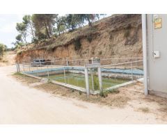 Venta de dos fincas rústicas en Mataró, cerca de la autopista