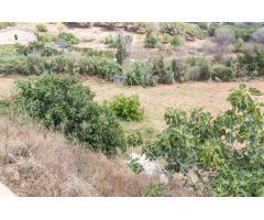 Venta de dos fincas rústicas en Mataró, cerca de la autopista