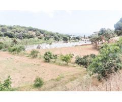 Venta de dos fincas rústicas en Mataró, cerca de la autopista