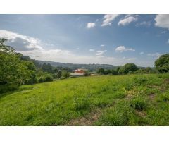 SE VENDE FINCA URBANA CON CASA EN ESTADO DE RUINA