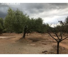 finca rustica con casa de campo y balsa, con agua