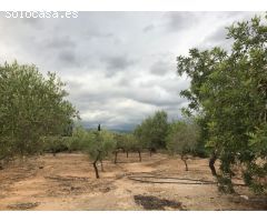 finca rustica con casa de campo y balsa, con agua