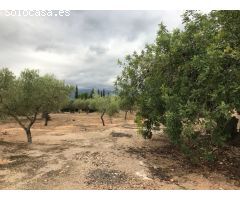 finca rustica con casa de campo y balsa, con agua