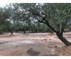 finca rustica con casa de campo y balsa, con agua