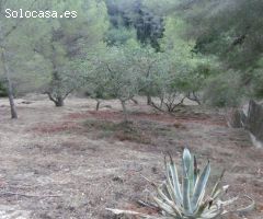 Parcela urbana edificable en zona Urb, Mig Camí