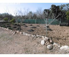 Terreno rural con casita de campo , pozo propio