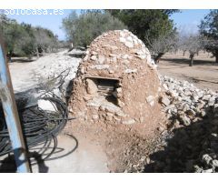 Terreno rural con casita de campo , pozo propio