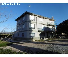 Casa de tres plantas a 3 minutos de la población de Xerta (Tarragona)  limita con el Rio Ebro.