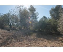 EN VENTA TERRENO URBANO EN SANT JOSEP DE LA MUNTANYA