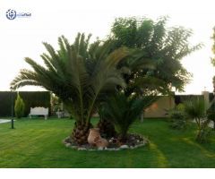 Villa de lujo en exclusiva urbanización con acceso restringido y seguridad 24h - Loma Badá Alicante