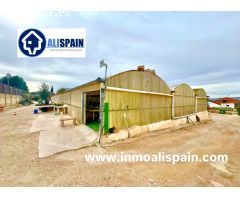 OPORTUNIDAD TERRENO DE USO INDUSTRIAL EN VIA PRINCIPAL - PETRER ALICANTE