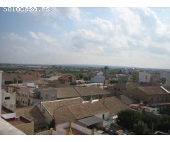 VILLA PAREADA DE OBRA NUEVA EN DAYA NUEVA