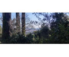 TERRENO  EN VENTA EN SANT FELIU DEL RACÓ