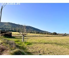 Finca rústica en Alcudia