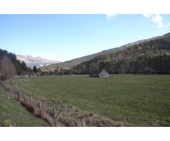 ISABA: VENTA FINCA RÚSTICA CON BORDA EN CARRETERA ISABA-BELAGUA DE 16.228,75 m2