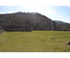 ISABA: VENTA FINCA RÚSTICA CON BORDA EN CARRETERA ISABA-BELAGUA DE 16.228,75 m2