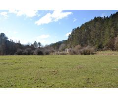 ISABA: VENTA FINCA RÚSTICA CON BORDA EN CARRETERA ISABA-BELAGUA DE 16.228,75 m2