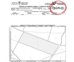 Finca de Labor de 38 robadas en Iza, municipio de Atondo