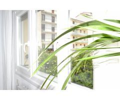 COQUETA VIVIENDA DE 3 DORMITORIOS EN ABEJERAS