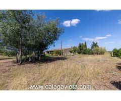 Nave agrícola en el término de Campos a 6 km de Colonia Sant Jordi