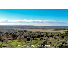 Gran terreno con proyecto y magníficas vistas