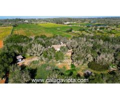 Finca en venta con encanto mallorquín en Ses Salines