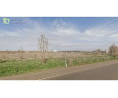 Finca Rustica de Regadio en Aranda de Duero, Burgos