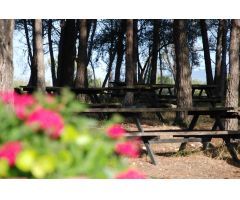 Camping en Santes Creus (Aiguamurcia)