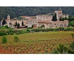 Camping en Santes Creus (Aiguamurcia)