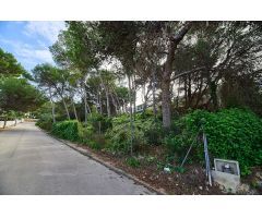 Venta de parcelas, Les Rotes, Denia