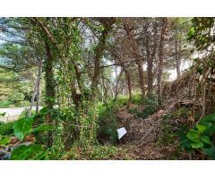 Venta de parcelas, Les Rotes, Denia