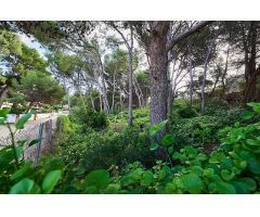 Venta de parcelas, Les Rotes, Denia