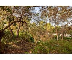 Venta de parcelas, Les Rotes, Denia